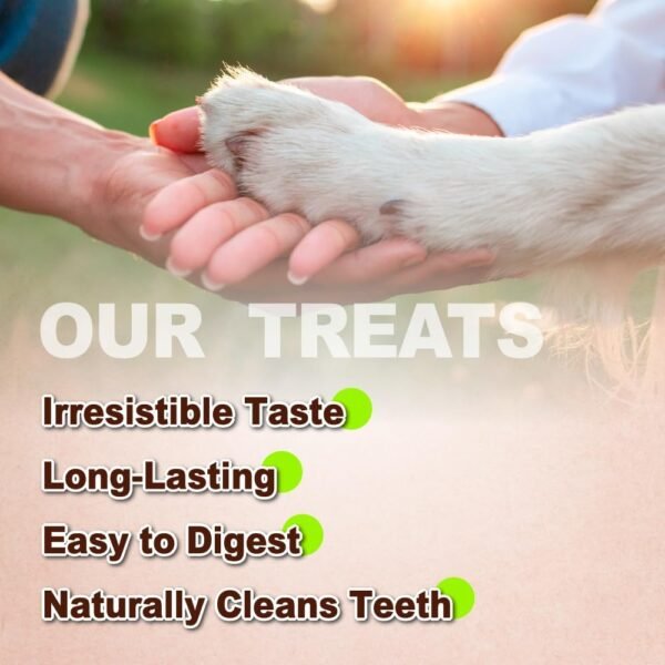 Natural Turkey Tendon Dog Treats A Freschi Review for Healthy Chewing and Dental Care