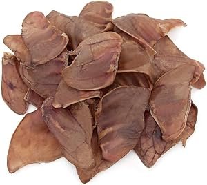 Review of Best Pet Supplies GigaBite Roasted Pig Ears for Dogs