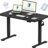 FLEXISPOT EN1 Standing Desk Review Electric Height Adjustable Home Office Furniture