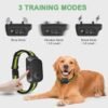 Rechargeable Dog Bark Collar CZCCWD C10 Review Humane Training for All Breeds