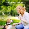 Comprehensive review of DOG CARE dog training collar with remote functionality
