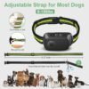 Rechargeable Dog Bark Collar CZCCWD C10 Review Humane Training for All Breeds