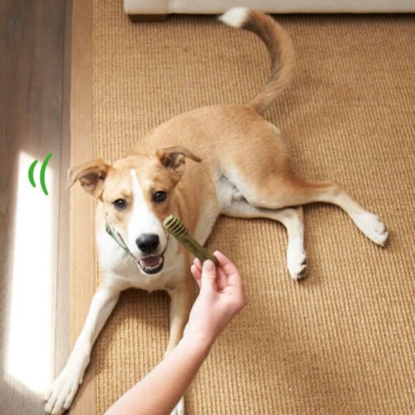 Greenies Puppy Teenie Size Dental Treats Review Best for Healthy Puppy Teeth