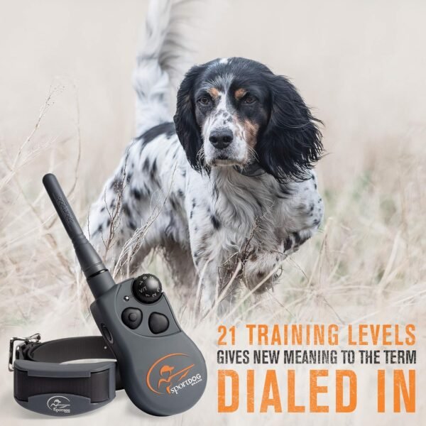 SportDOG SD-825X Dog Training Collar Review Long-Range Waterproof Performance Tested