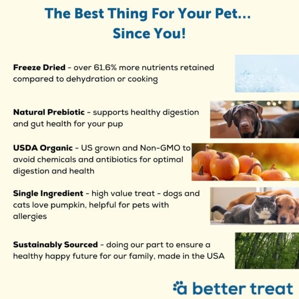 Review of A Better Treat Freeze Dried Organic Pumpkin Dog and Cat Treats