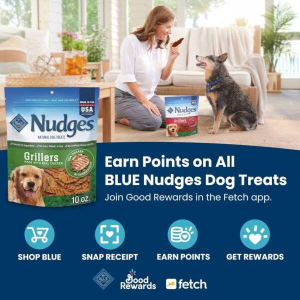 Blue Buffalo Nudges Jerky Bites Dog Treats Review Natural Chicken Flavor Insights