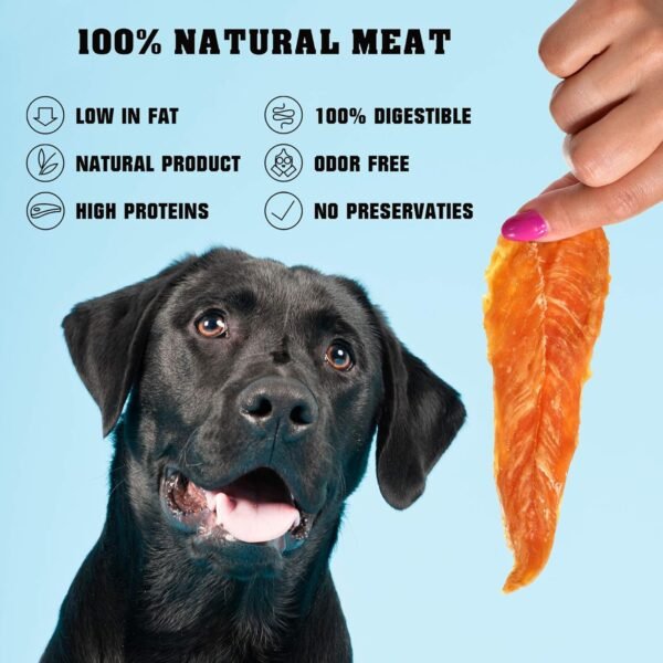 Beloved Pets Dog Treats Chicken Jerky Review Healthy High Protein Training Chews