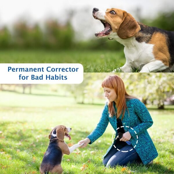 Canine Innovations Pet Convincer Air Dog Training Device Review for Effective Behavior Control