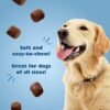 Review of Bil-Jac Original Recipe Soft Dog Training Treats for All Breeds