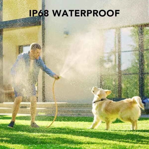 Comprehensive review of DOG CARE dog training collar with remote functionality