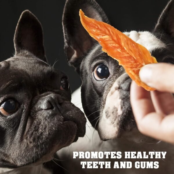 Beloved Pets Dog Treats Chicken Jerky Review Healthy High Protein Training Chews