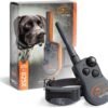 SportDOG SD-825X Dog Training Collar Review Long-Range Waterproof Performance Tested