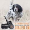 SportDOG FieldTrainer 425XS review exploring the best e-collar for stubborn dogs
