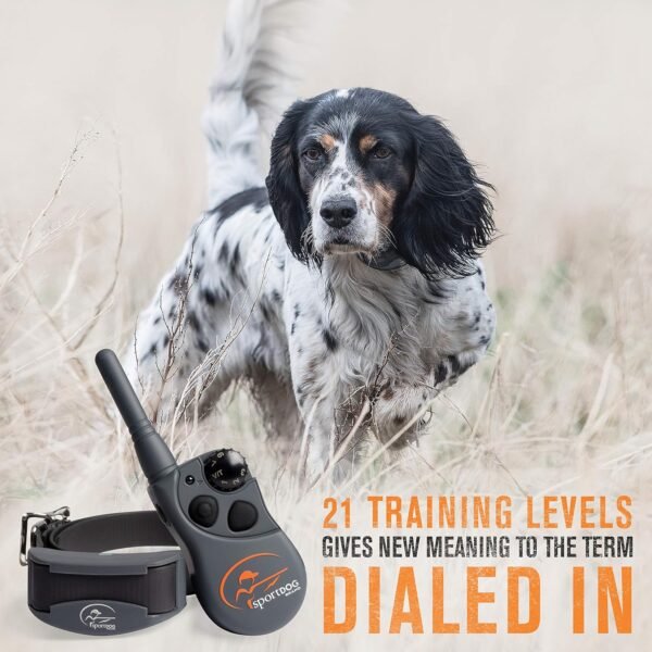 SportDOG FieldTrainer 425XS review exploring the best e-collar for stubborn dogs